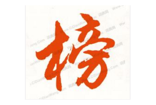 警用中標(biāo)企業(yè)排行榜（第二期）