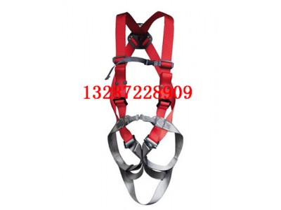 新款防護(hù)Ⅱ類全身安全帶