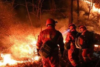 【消防采購大數(shù)據(jù)】滅火裝備標訊匯總（2020第一季度）