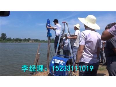 防汛搶險液壓打樁機，智能環(huán)保型防汛液壓植樁機