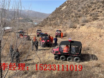 霸王龍兩棲八輪車，湖泊搶險(xiǎn)水陸兩棲車價(jià)格圖片